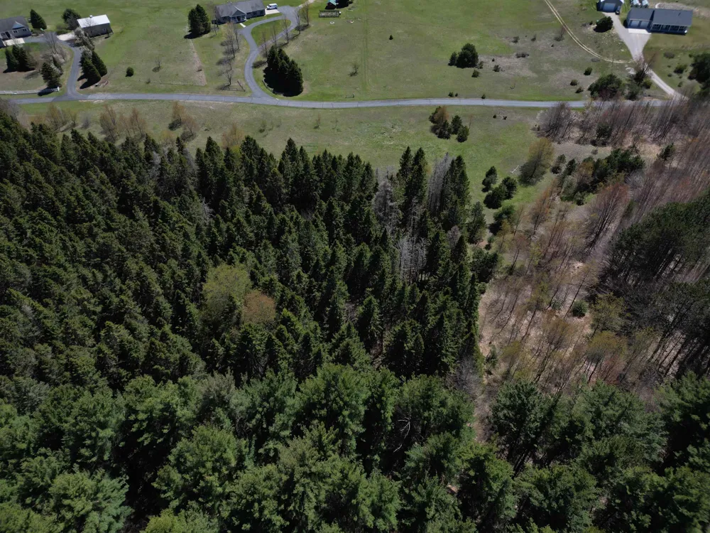 W Timber Lane Kasson Township, MI 49630