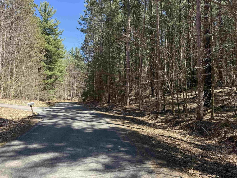 W Timber Lane Kasson Township, MI 49630