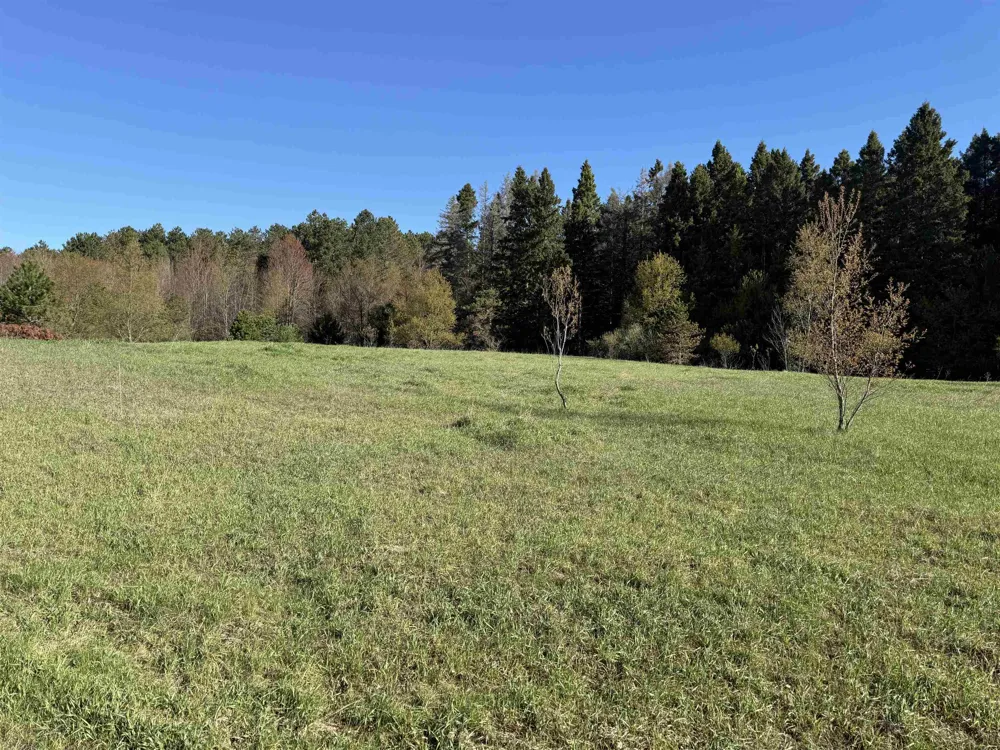 W Timber Lane Kasson Township, MI 49630