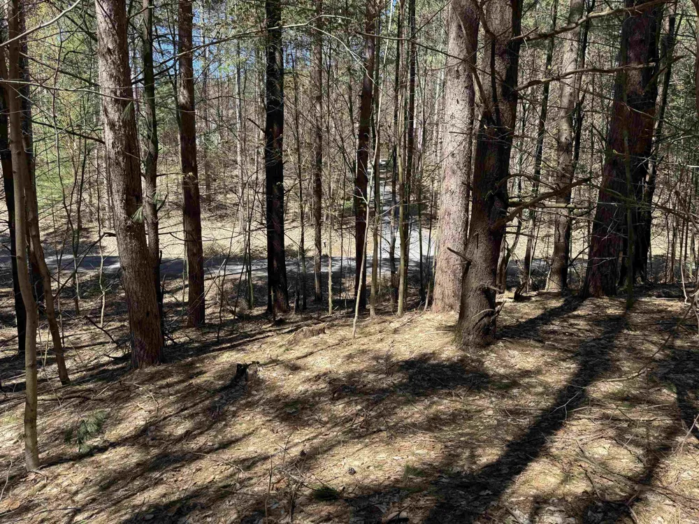 W Timber Lane Kasson Township, MI 49630