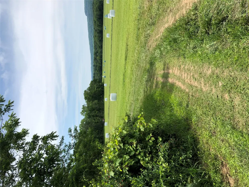 181 Huguenot Street New Paltz, NY 12561