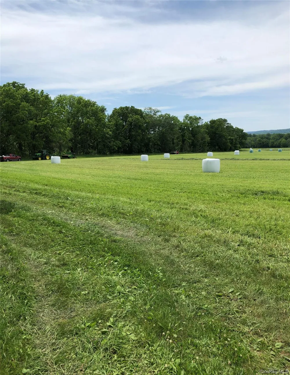 181 Huguenot Street New Paltz, NY 12561