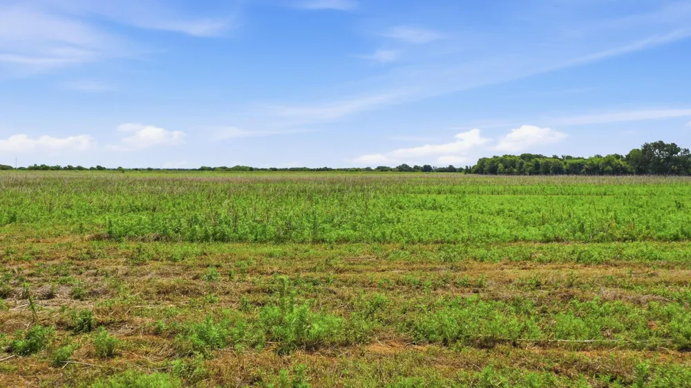 Cr 495 De Leon, TX 76444