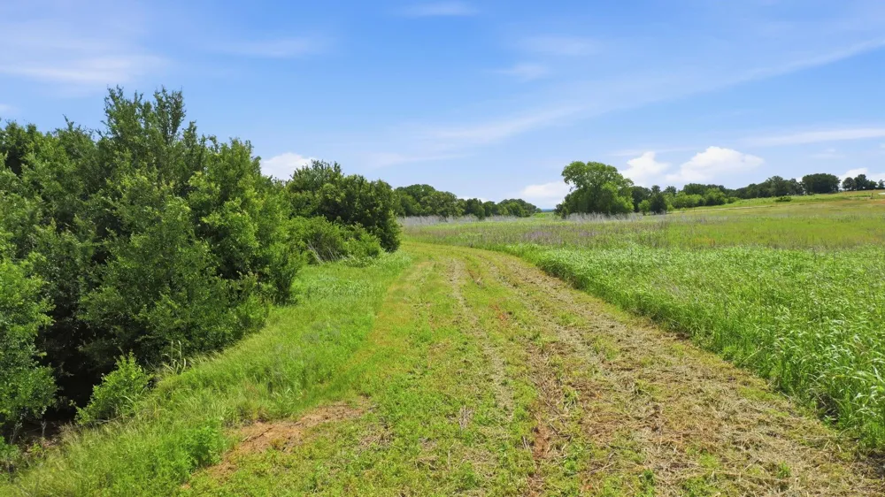 Cr 495 De Leon, TX 76444