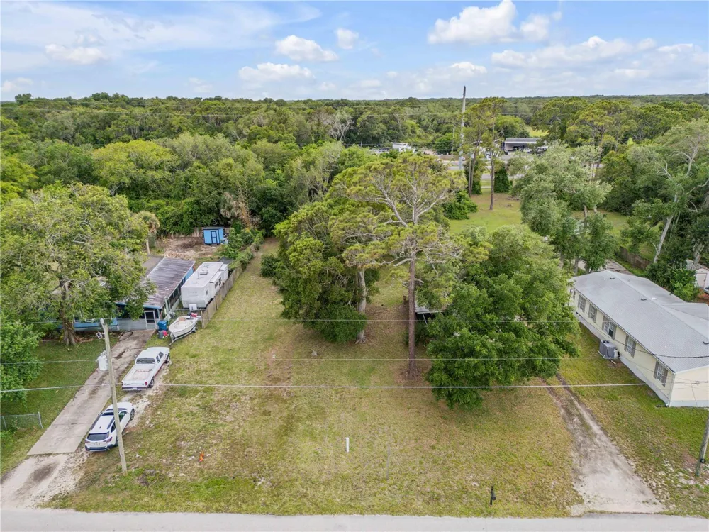 NELLIE STREET Edgewater, FL 32141