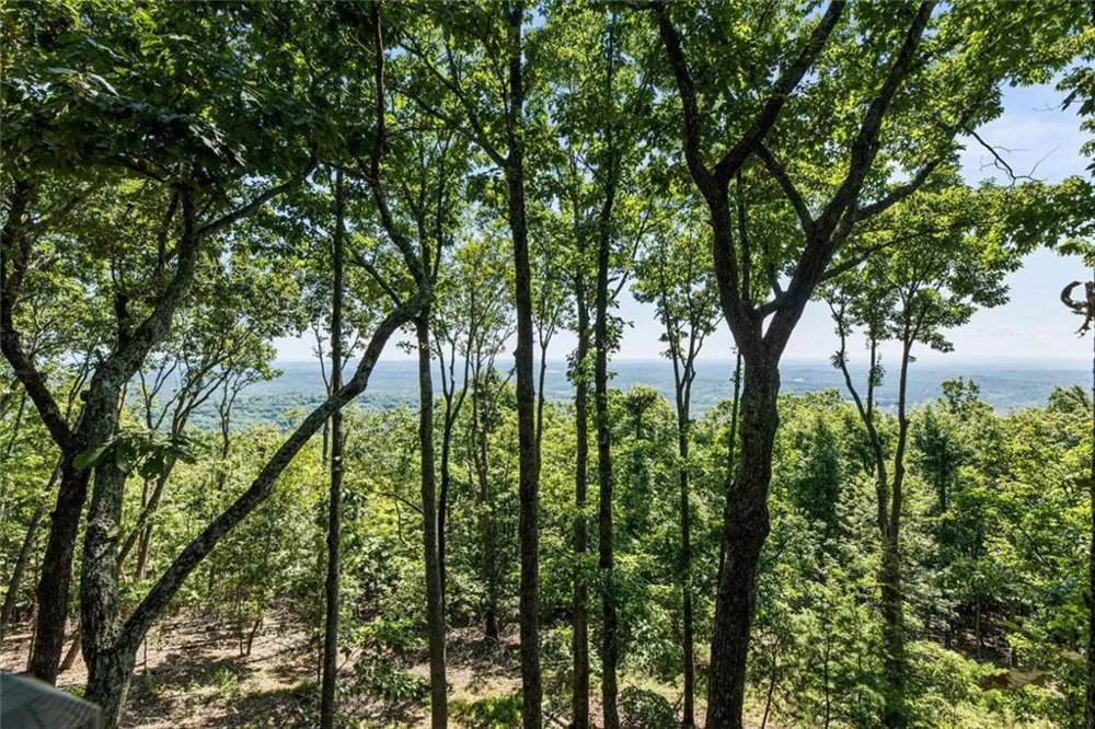 912 Mcelroy Mountain Drive Big Canoe, GA 30143
