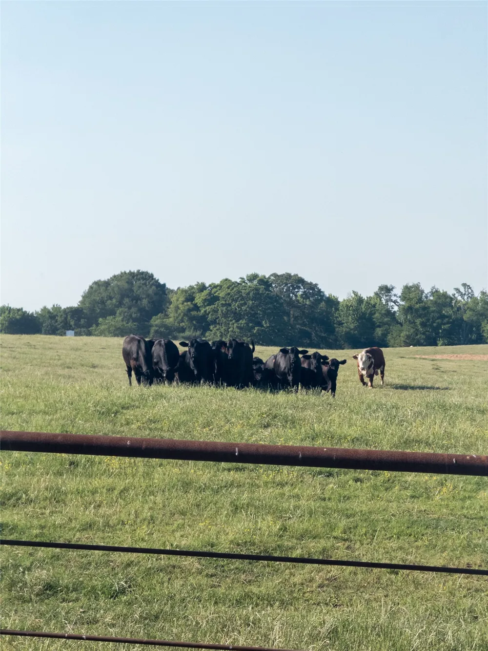11843 Highway 175 E Highway Larue, TX 75770