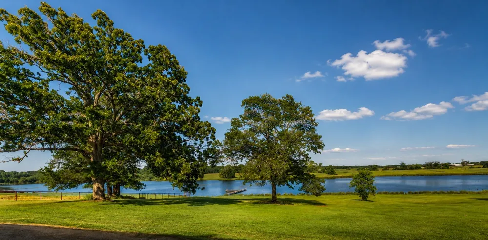 11843 Highway 175 E Highway Larue, TX 75770