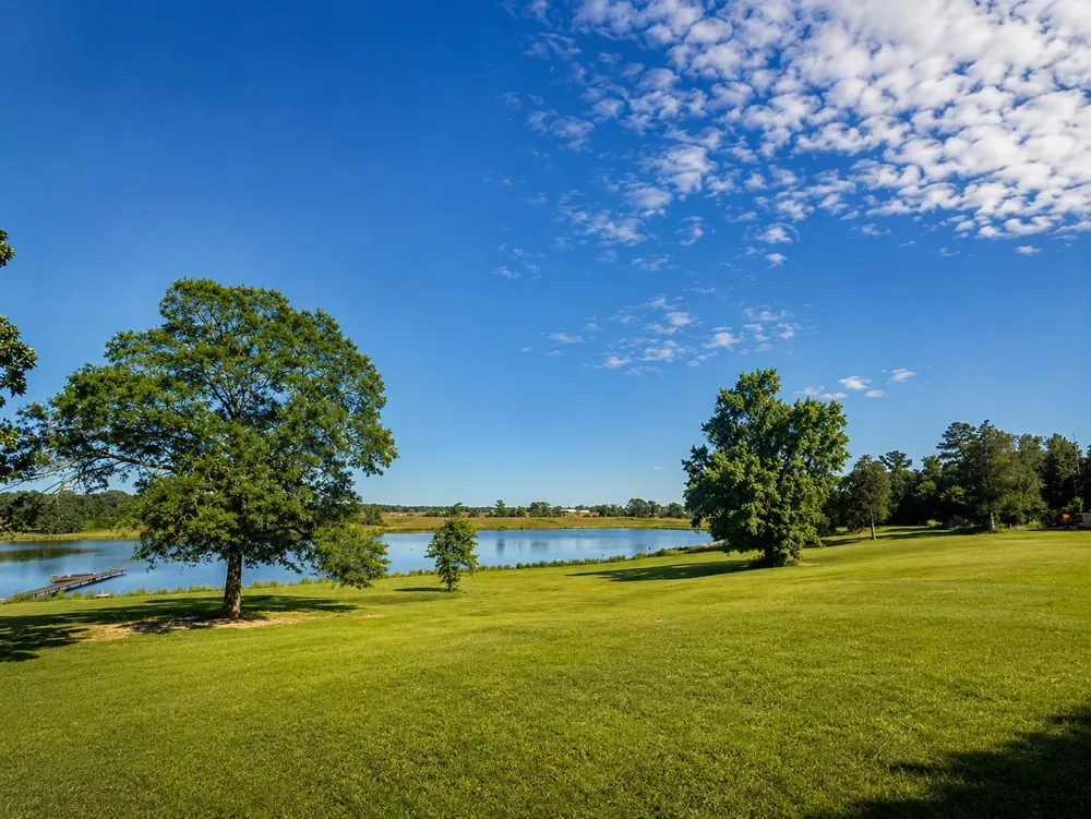 11843 Highway 175 E Highway Larue, TX 75770