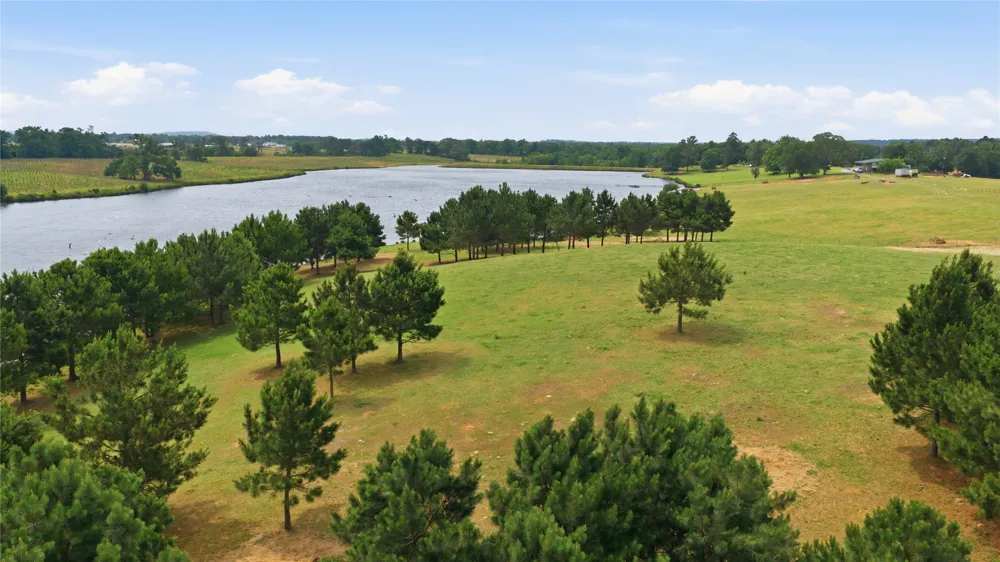11843 Highway 175 E Highway Larue, TX 75770