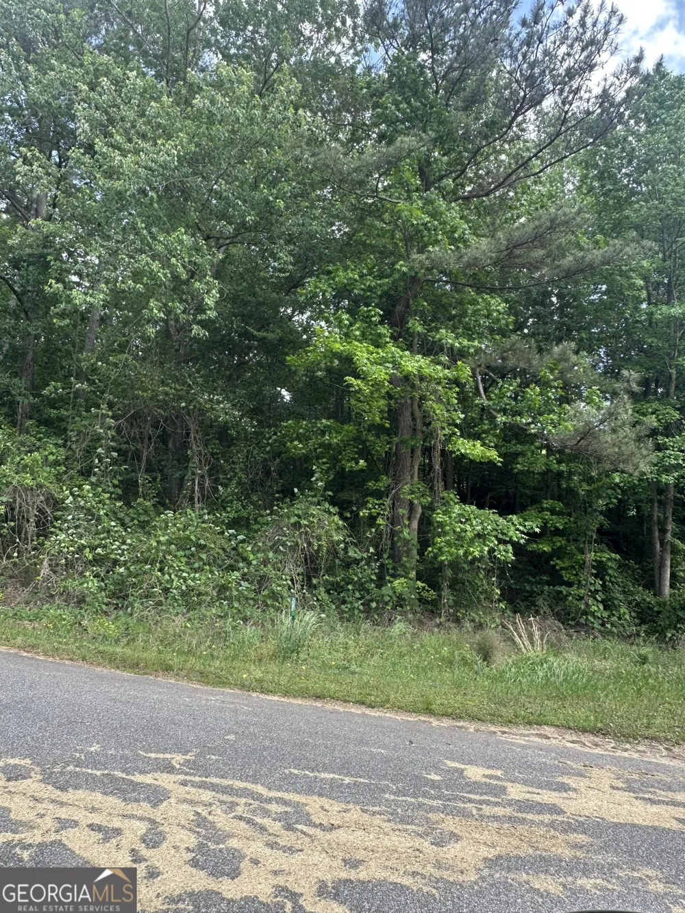 0 Ada ST Royston, GA 30662