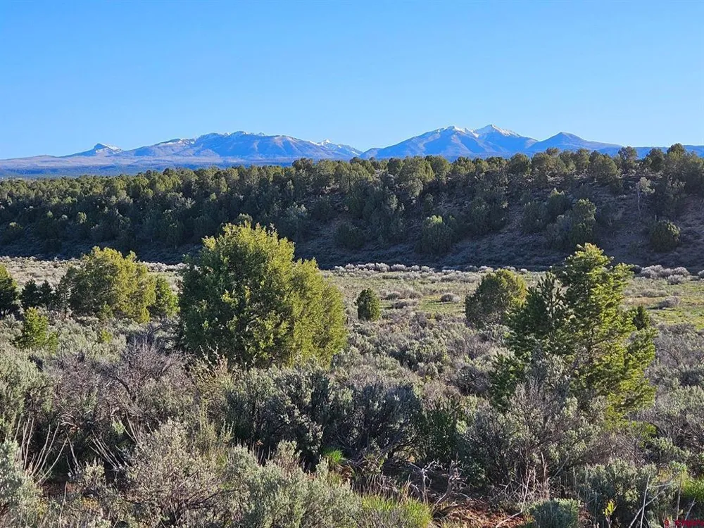 1177 County Road 119A Hesperus, CO 81326