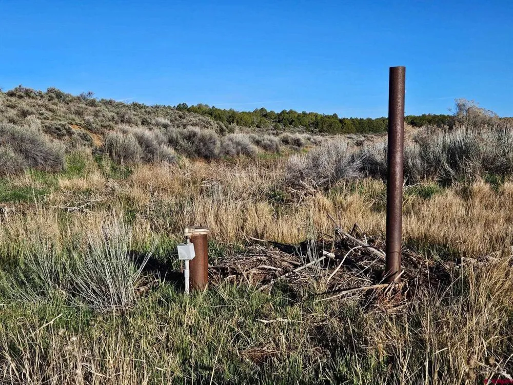 1177 County Road 119A Hesperus, CO 81326