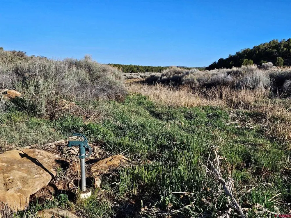 1177 County Road 119A Hesperus, CO 81326