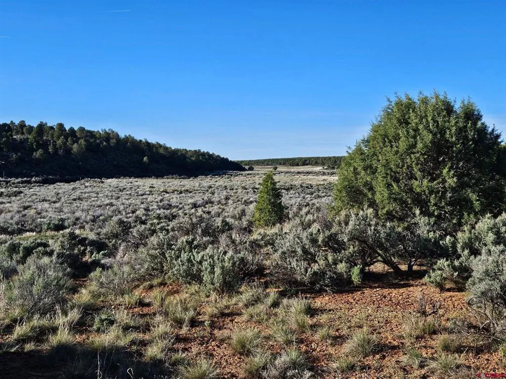 1177 County Road 119A Hesperus, CO 81326