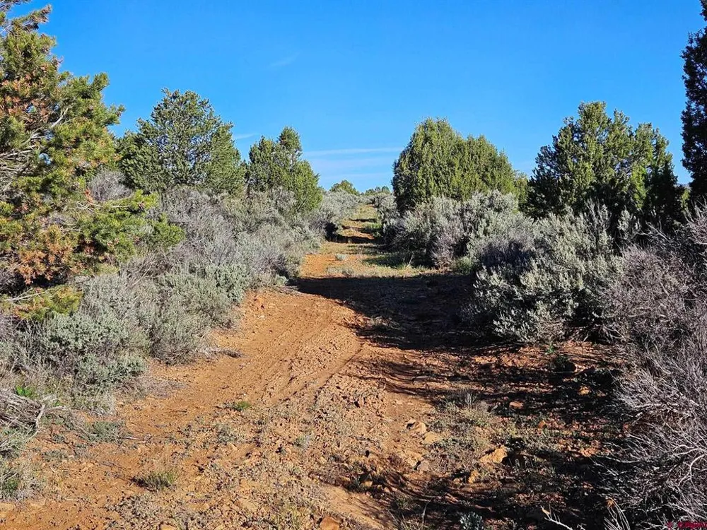 1177 County Road 119A Hesperus, CO 81326