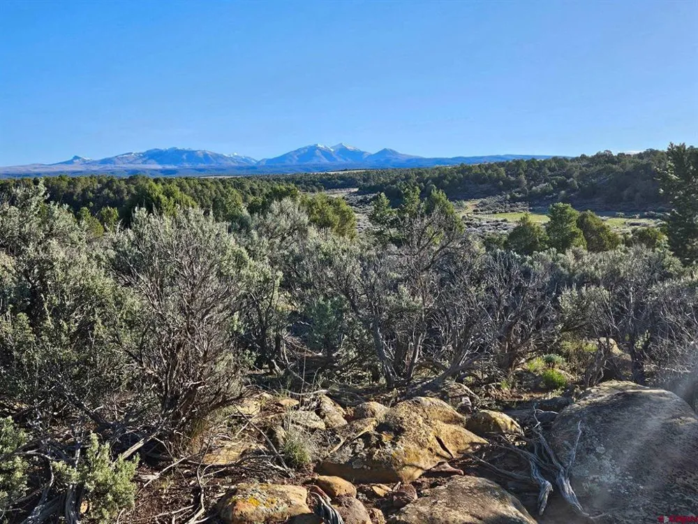 1177 County Road 119A Hesperus, CO 81326