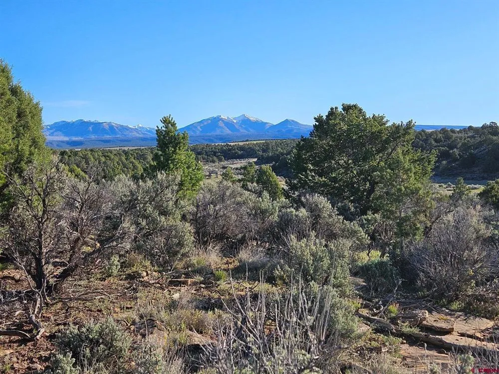 1177 County Road 119A Hesperus, CO 81326