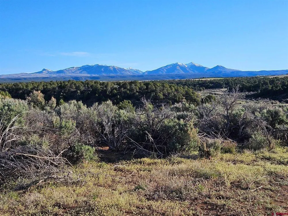 1177 County Road 119A Hesperus, CO 81326