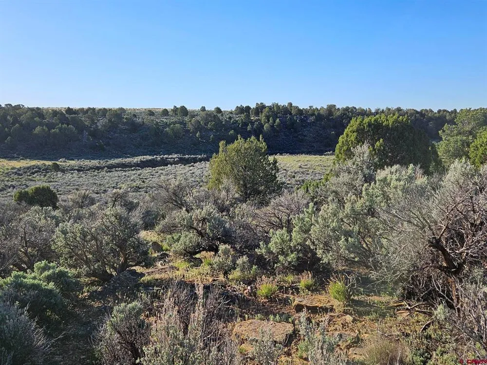 1177 County Road 119A Hesperus, CO 81326