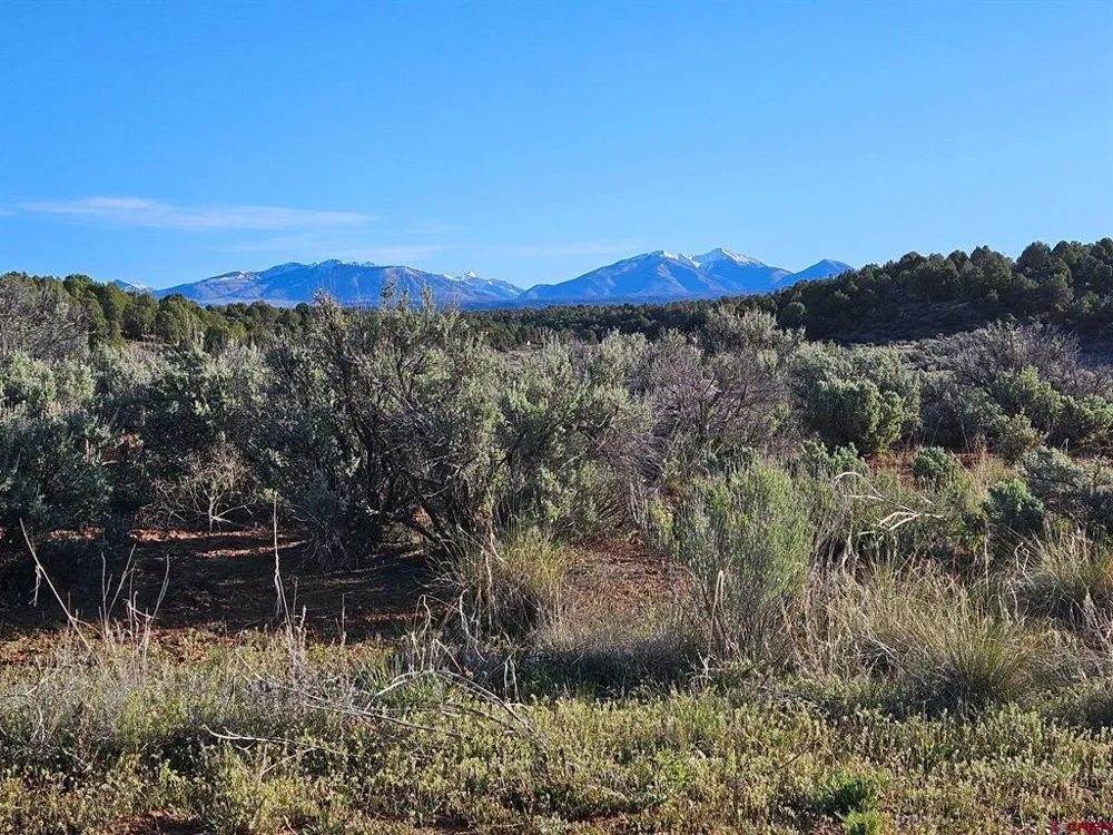 1177 County Road 119A Hesperus, CO 81326