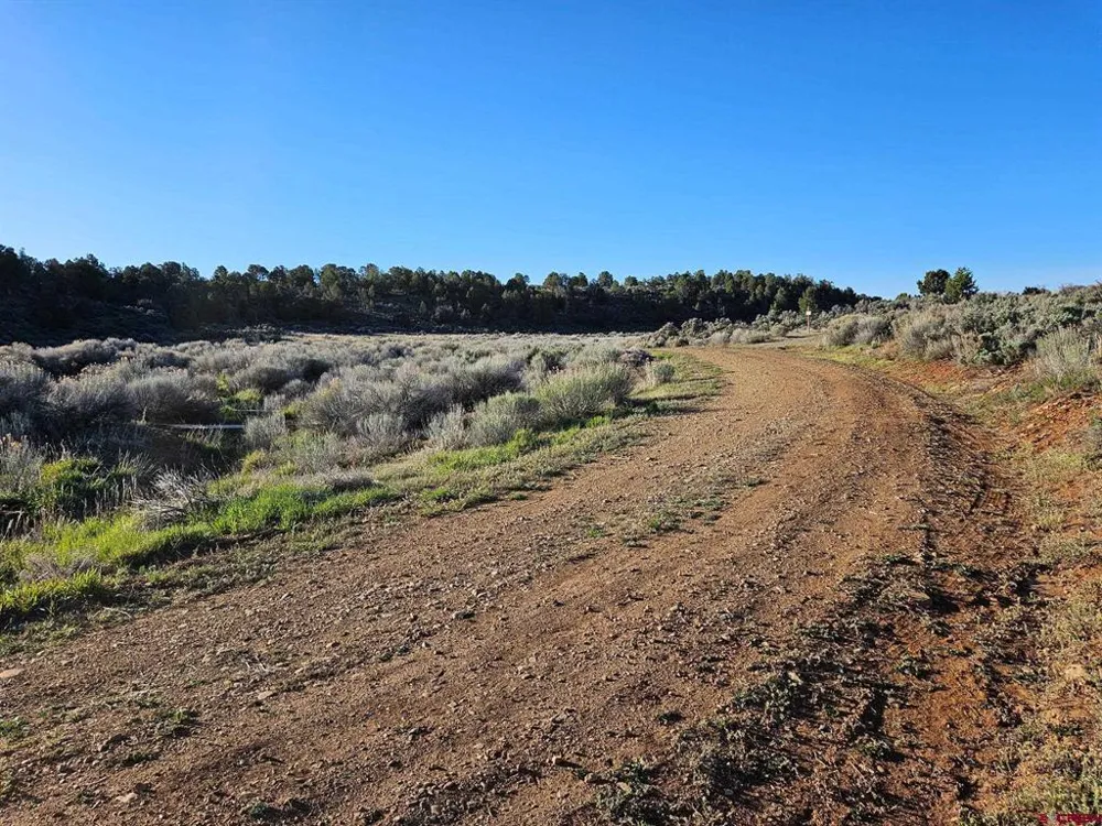 1177 County Road 119A Hesperus, CO 81326