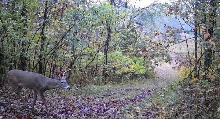 798 Red Tuttle Rd Bethpage, TN 37022