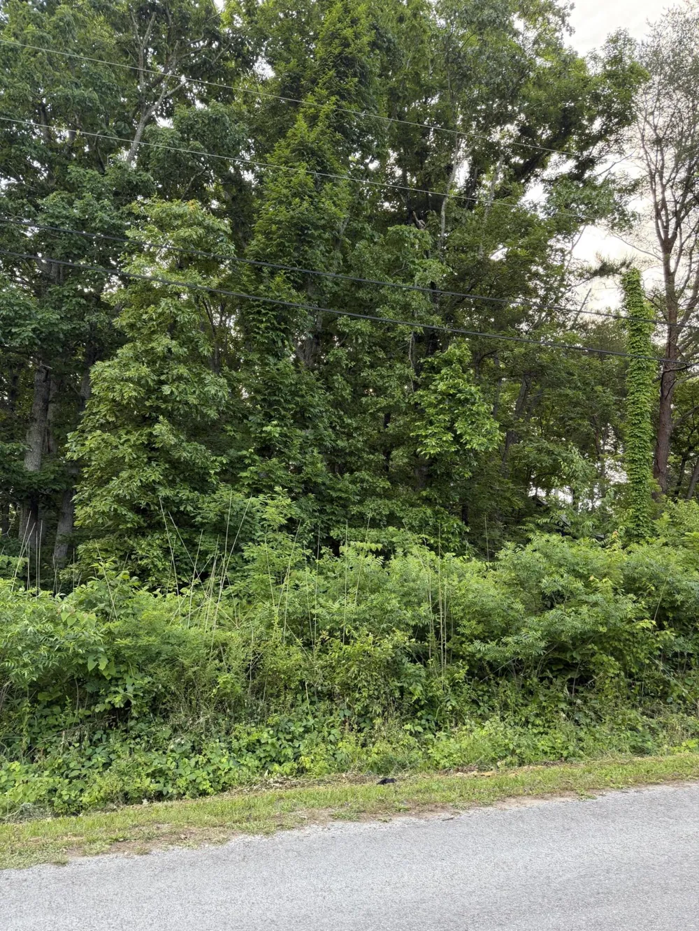 72 Indian Hills Drive Dayton, TN 37321