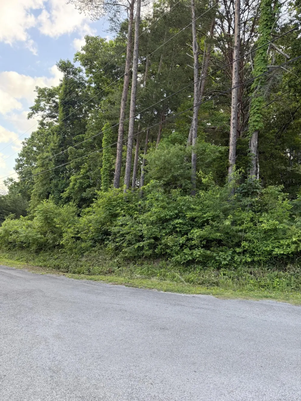 72 Indian Hills Drive Dayton, TN 37321