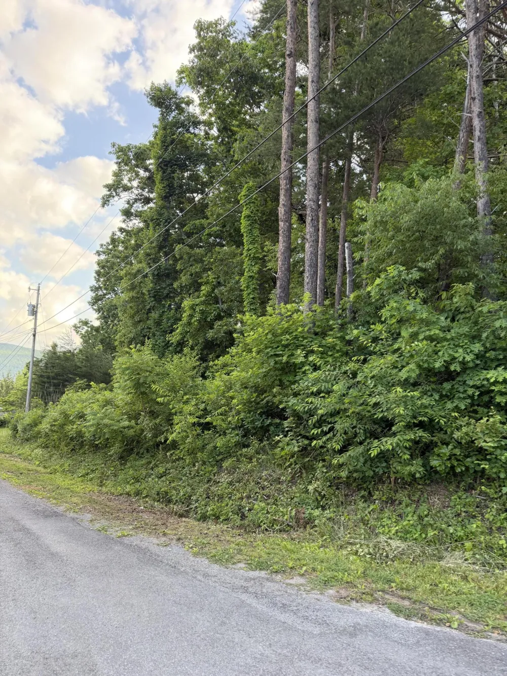 72 Indian Hills Drive Dayton, TN 37321