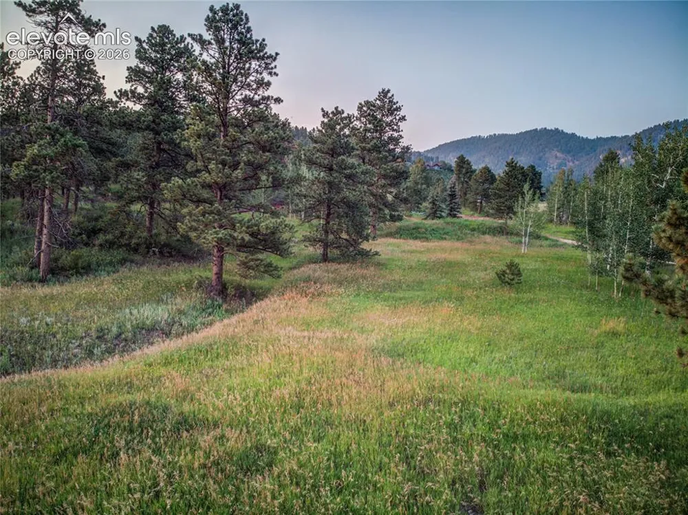 19569 E Highway 24 Woodland Park, CO 80863