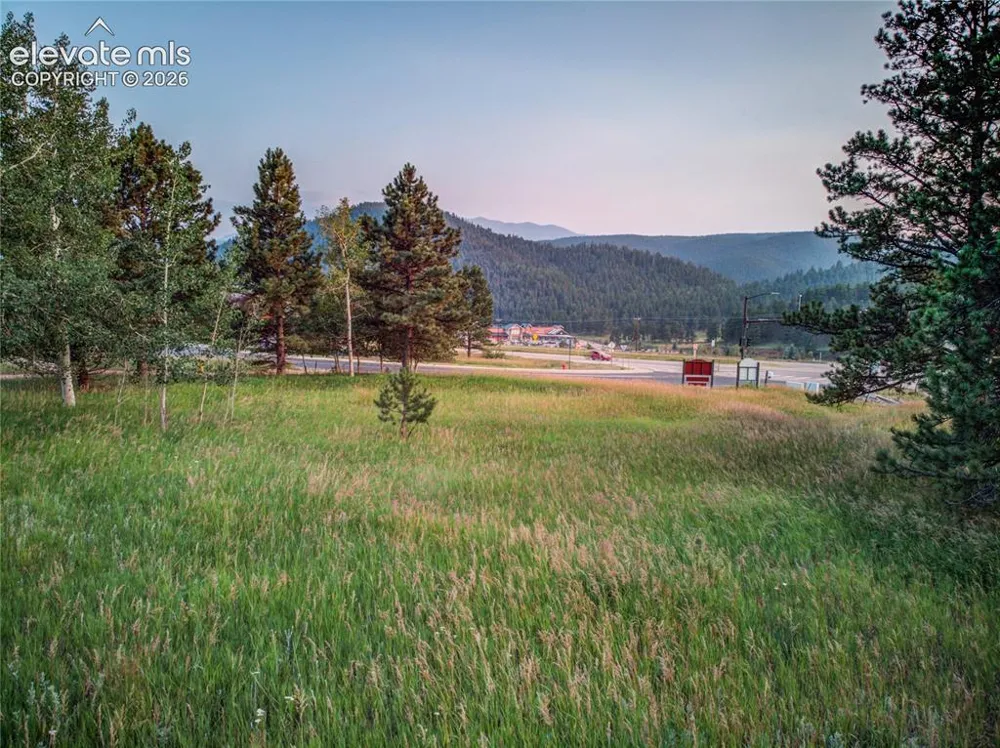 19569 E Highway 24 Woodland Park, CO 80863