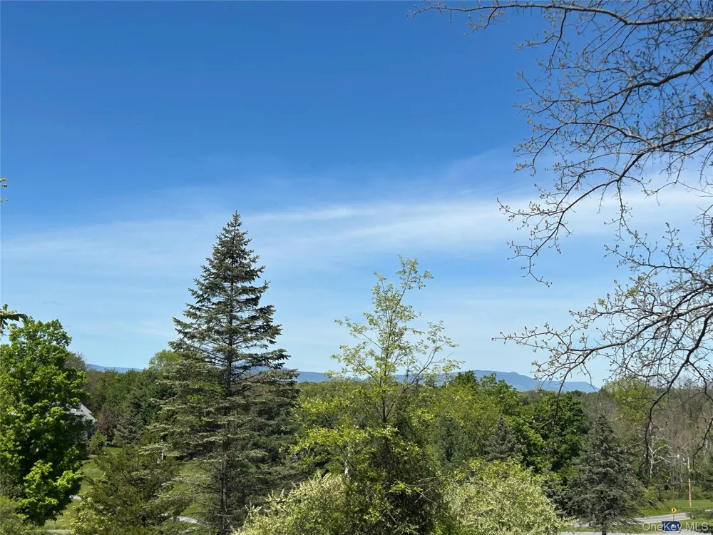 1763 County Route 19 Red Hook, NY 12571