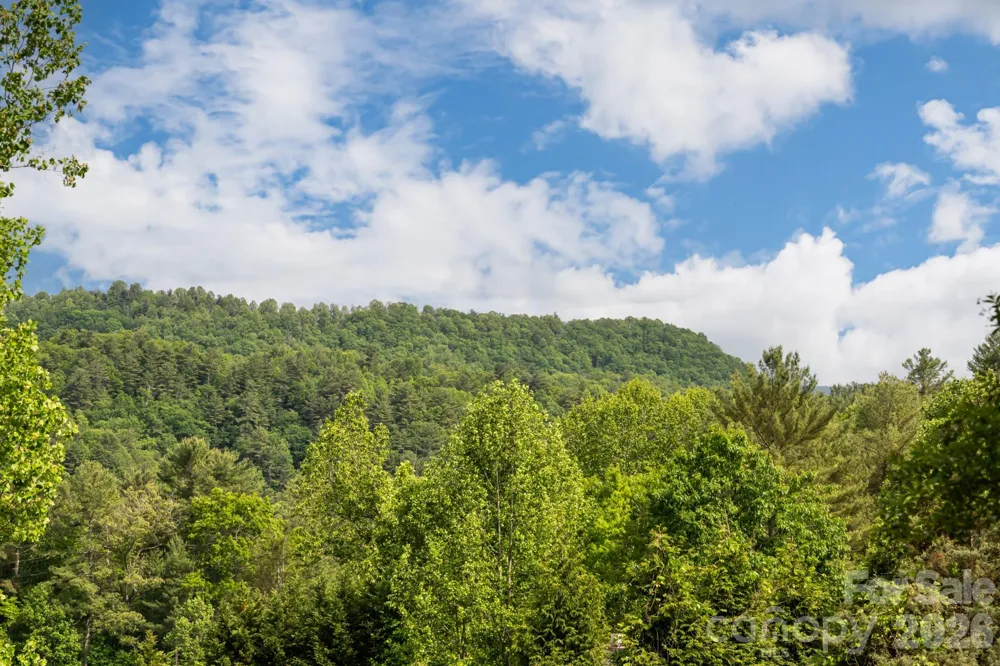 10 Terrapin Trail Flat Rock, NC 28731