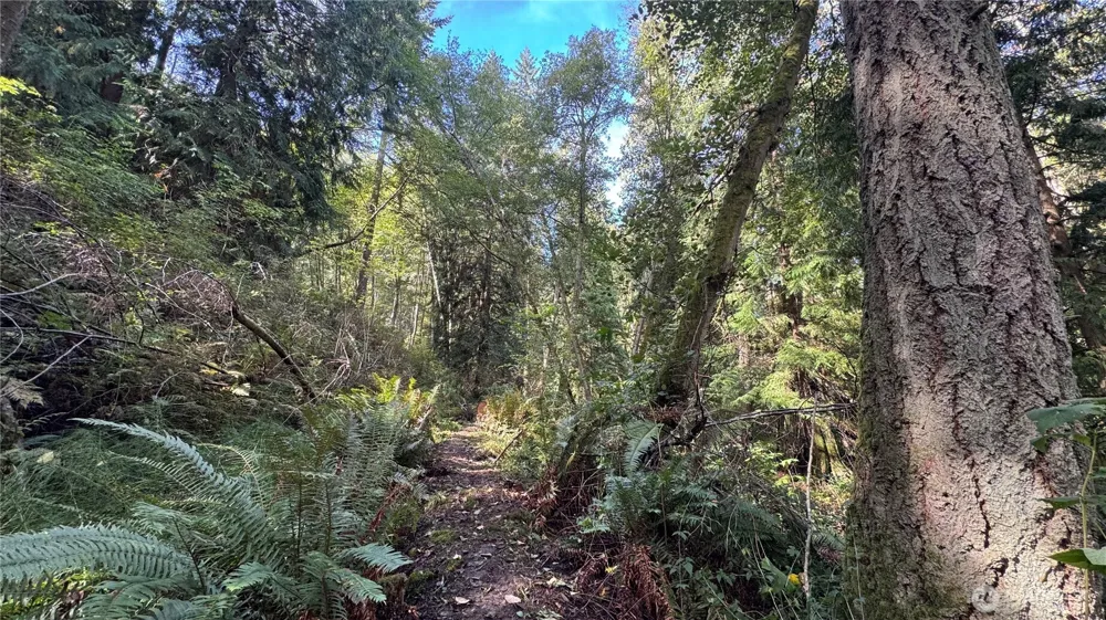 0 Heggeness Road Clinton, WA 98236