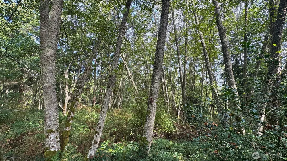 0 Heggeness Road Clinton, WA 98236