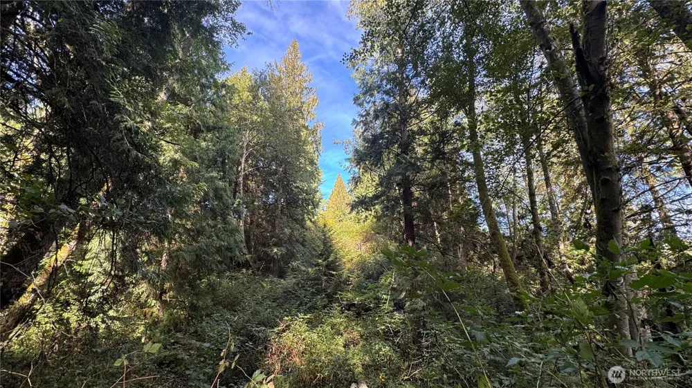 0 Heggeness Road Clinton, WA 98236