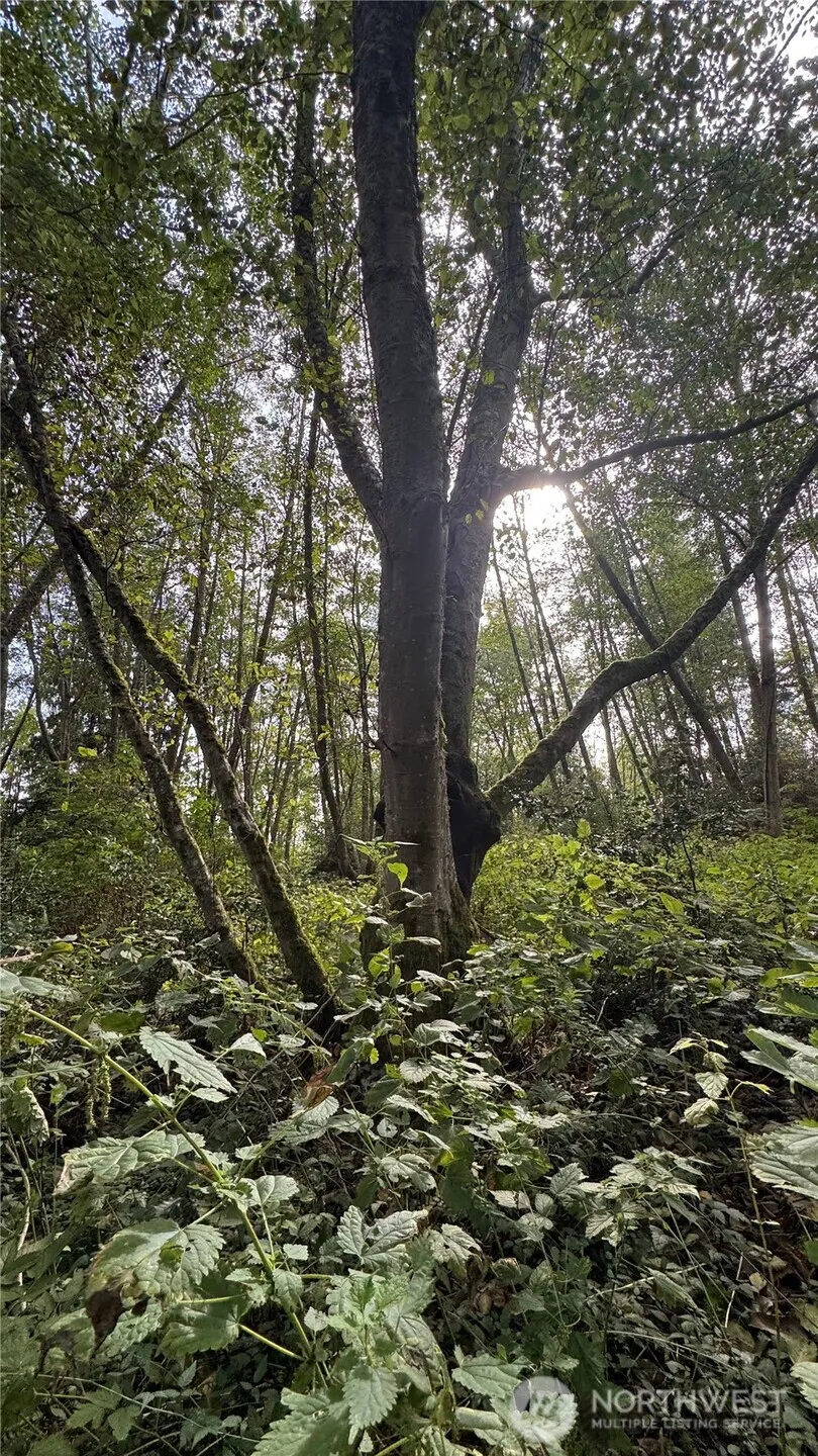 0 Heggeness Road Clinton, WA 98236