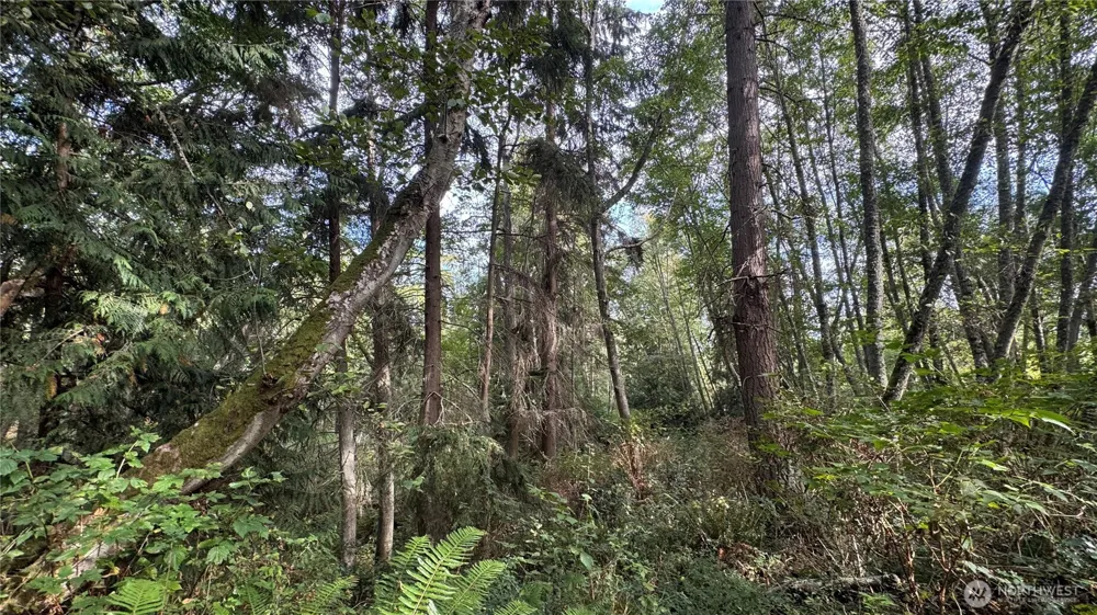 0 Heggeness Road Clinton, WA 98236