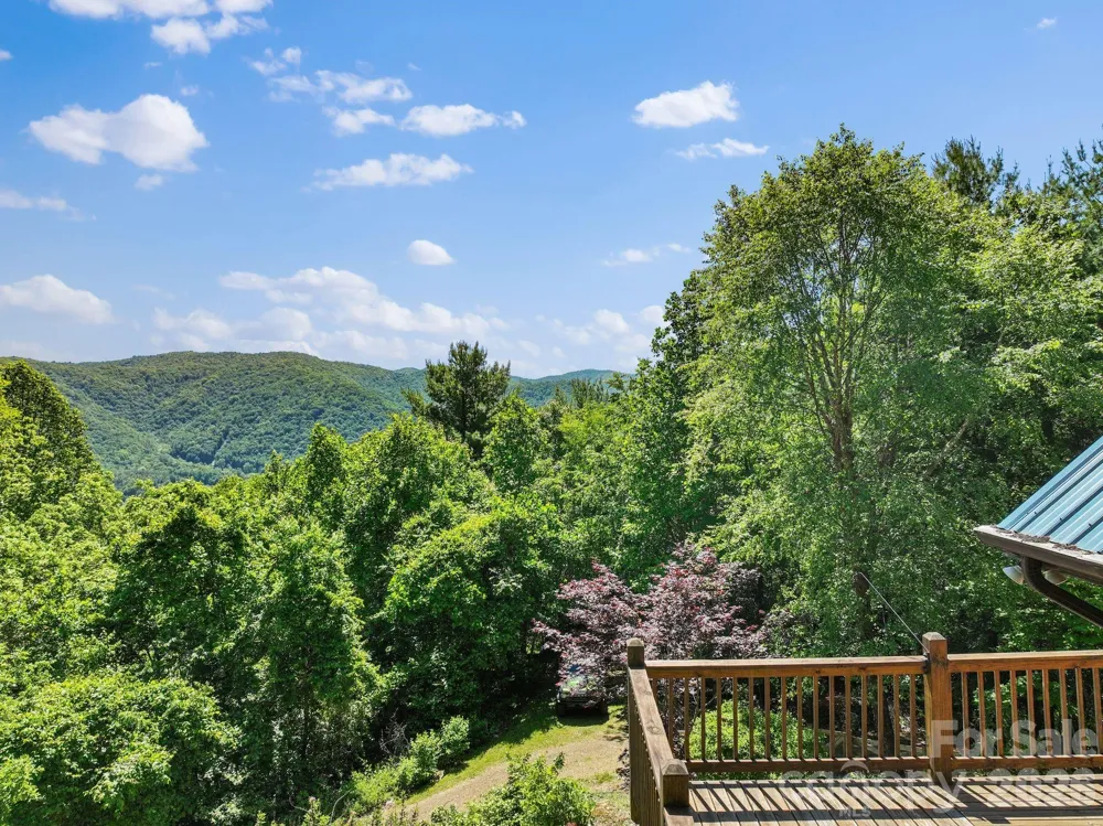 1206 Caldwell Mountain Road Hot Springs, NC 28743