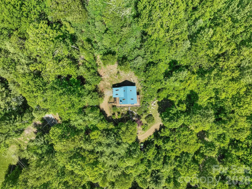 1206 Caldwell Mountain Road Hot Springs, NC 28743