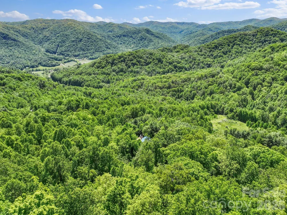 1206 Caldwell Mountain Road Hot Springs, NC 28743