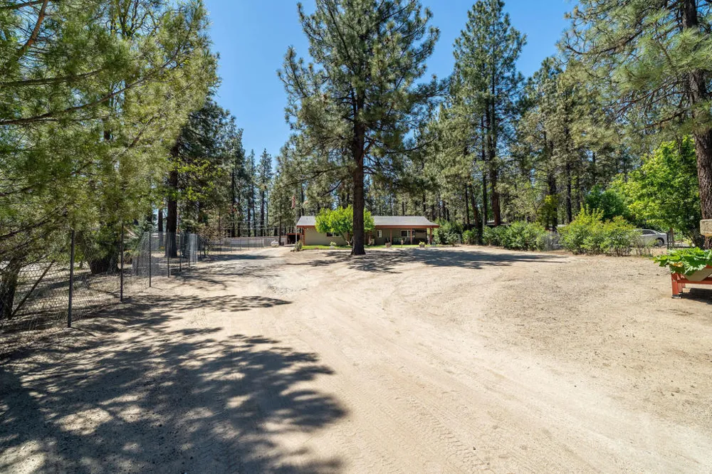 59341 Courtesy Drive Mountain Center, CA 92561