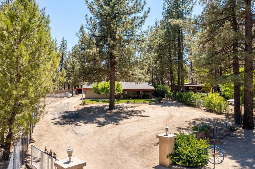 59341 Courtesy Drive Mountain Center, CA 92561