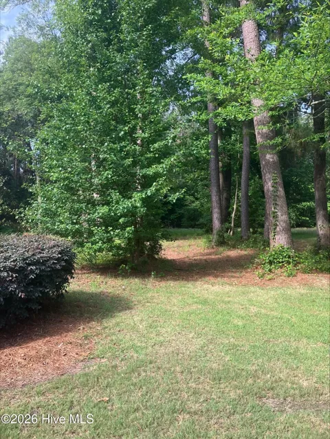155 Southern Magnolia Lane
