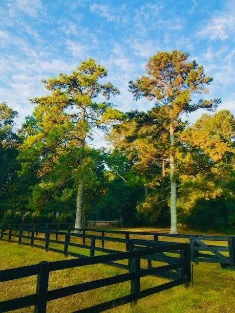15575 Thompson Road Alpharetta, GA 30004