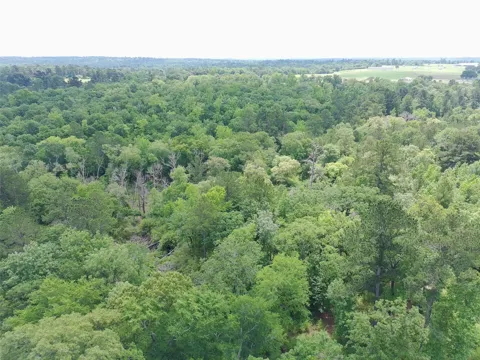 133 Pr 1313