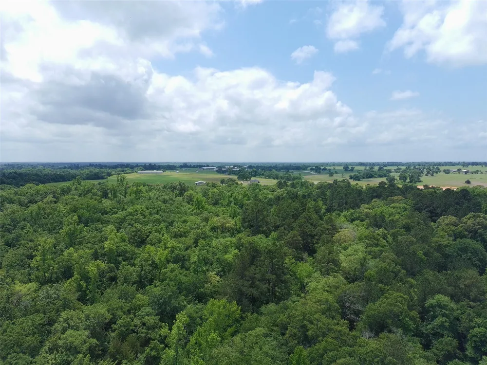 133 Pr 1313 Centerville, TX 75833