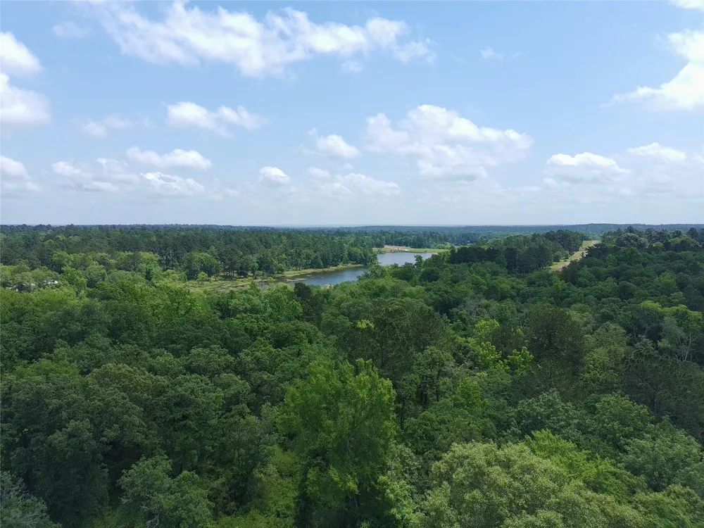 133 Pr 1313 Centerville, TX 75833