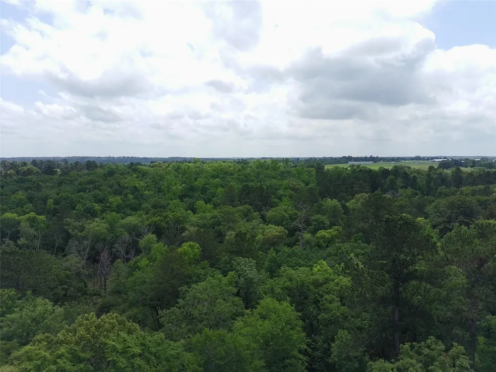 133 Pr 1313 Centerville, TX 75833